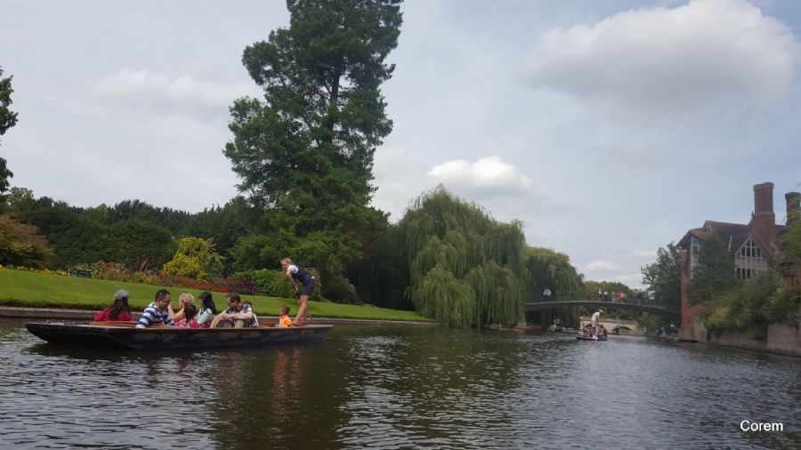 נוף הגשרים בקיימברידג' מהנהר